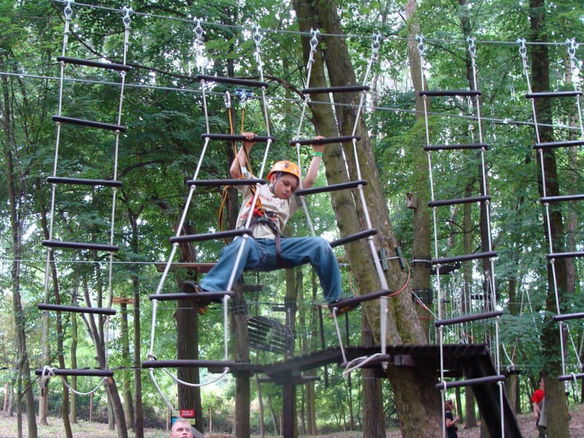 Zabawa dla Dzieci w Parku Linowym | Poznań