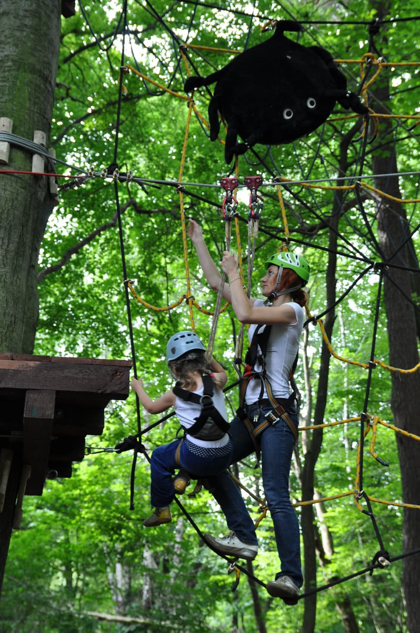 Przygoda na Linach ze Zjazdem Tyrolskim dla Całej Rodziny | Poznań