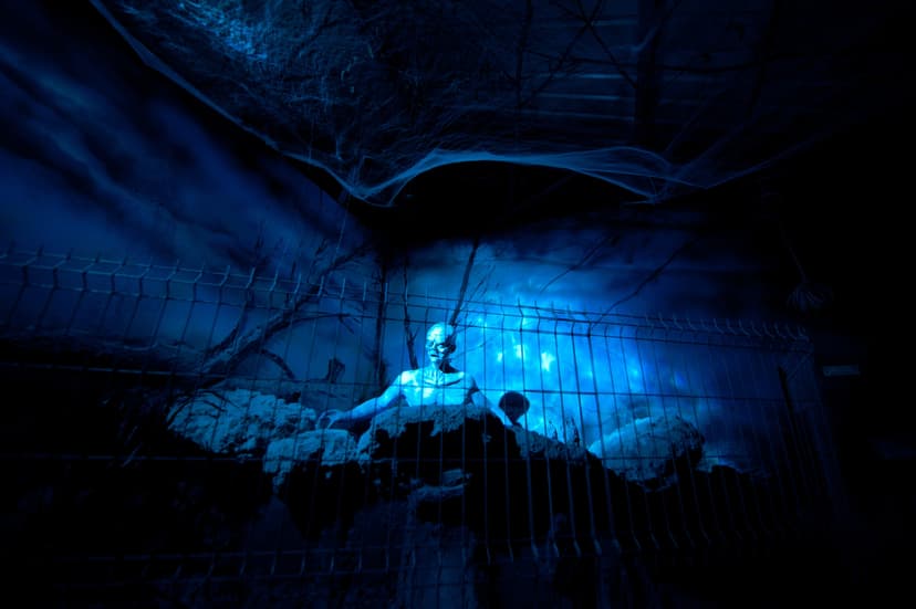 Przygoda w Parku Ogrodzieniec dla Dwojga | Katowice (okolice)