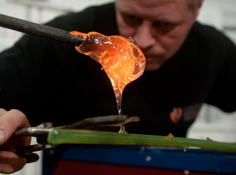 Zwiedzanie Centrum Dziedzictwa Szkła i Piwnic Przedprożnych dla Dwojga | Rzeszów (okolice)