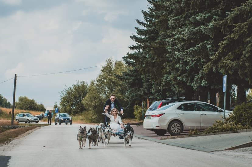 Jazda Psim Zaprzęgiem dla Dwojga | Kraków (okolice)