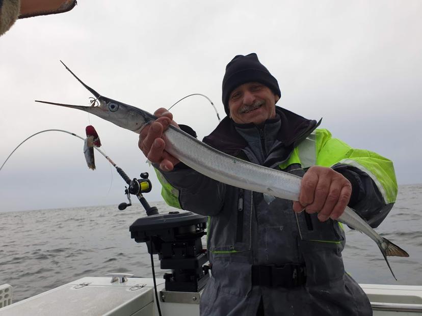 Wyprawa Wędkarska na Belony | Hel