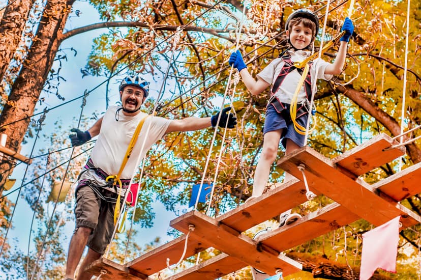 Przygoda w Parku Linowym dla Rodziny (2+1) | Katowice