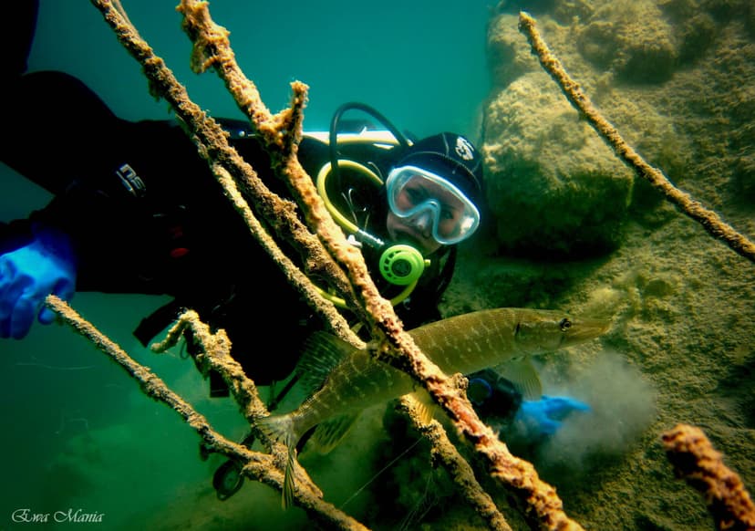 Nurkowanie w Podwodnej Jaskini | Inowrocław (okolice)