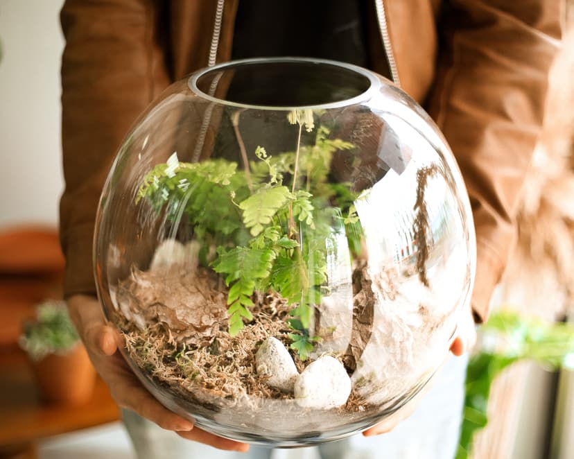 Stwórz Własny “Las w Szkle” | Trójmiasto