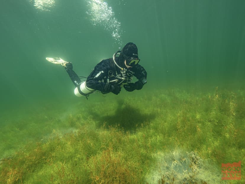 Nurkowanie w Jeziorze | Borzechowo (okolice)