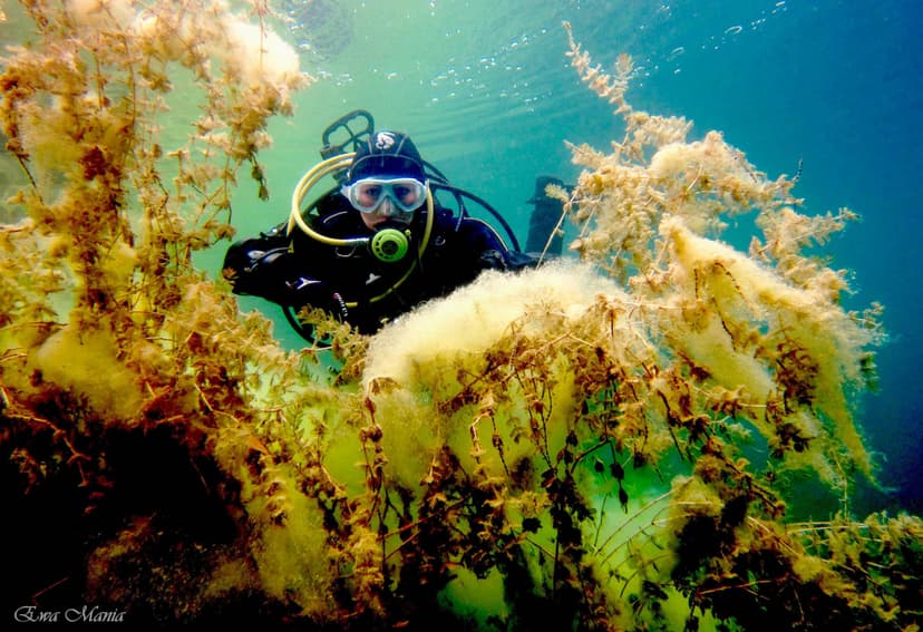 Nurkowanie w Podwodnym Kamieniołomie | Inowrocław (okolice)