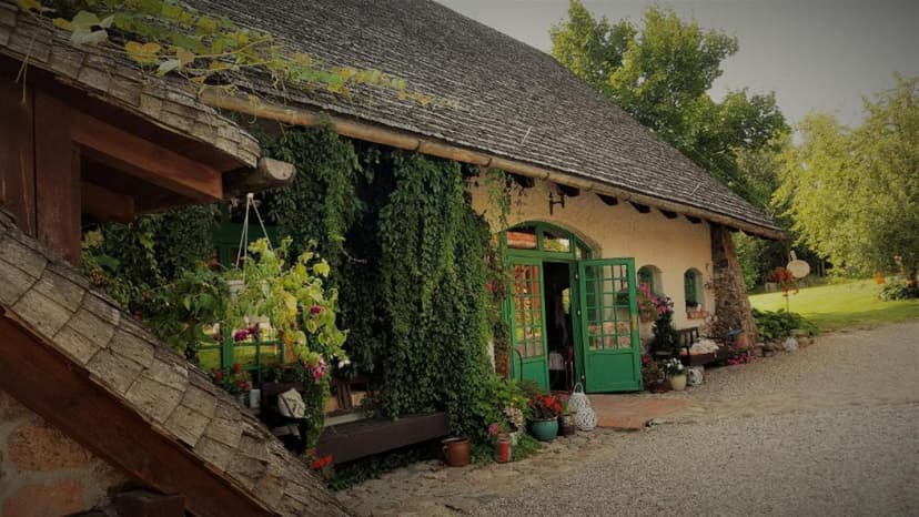 Urokliwy Pobyt w Apartamencie Konesera (1 Noc, 2 Osoby) | Domy Konesera | Trzcin