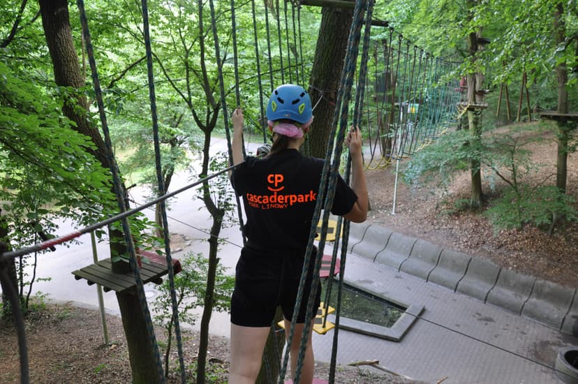 Zabawa w Parku Linowym "Trasy Panda i Koala" | Poznań