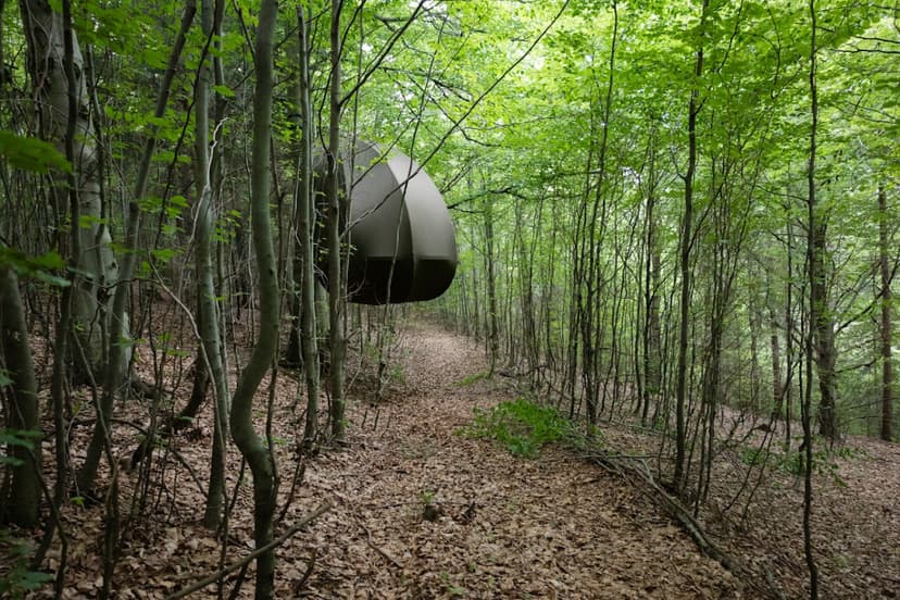 Urokliwy Pobyt w Namiocie na Drzewie (1 Noc, 1 Osoba) | Wisilas Nad Sercowym Potokiem | Rabka-Zdrój