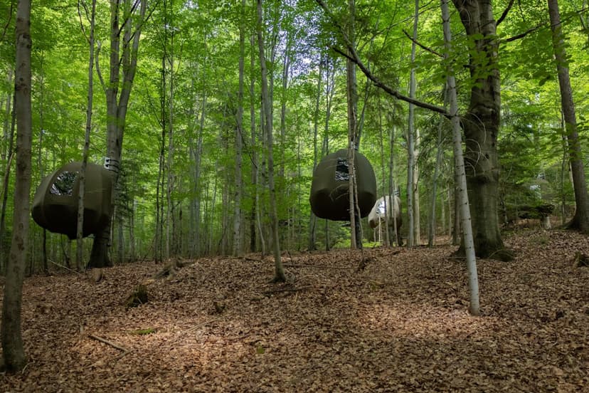 Urokliwy Pobyt w Namiocie na Drzewie (2 Noce, 1 Osoba) | Wisilas Nad Sercowym Potokiem | Rabka-Zdrój