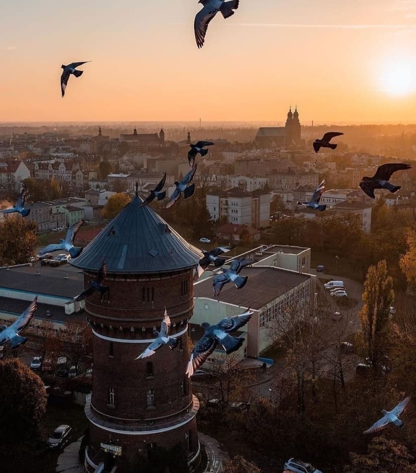 Pobyt w Apartamencie (2 Noce, 2 Osoby) | Wieża Gniezno | Gniezno