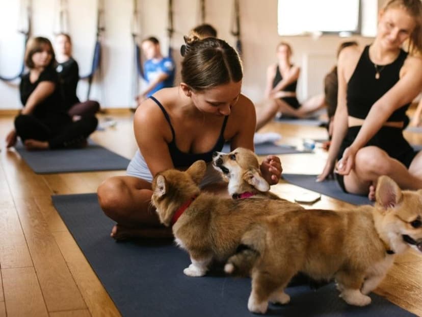 Puppy Joga | Warszawa