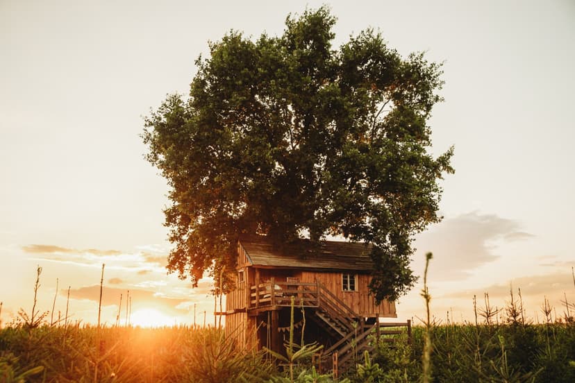 Pobyt w Domku na Drzewie (1 Noc, 2 Osoby) | Skansen Bicz Family & SPA | Bicz