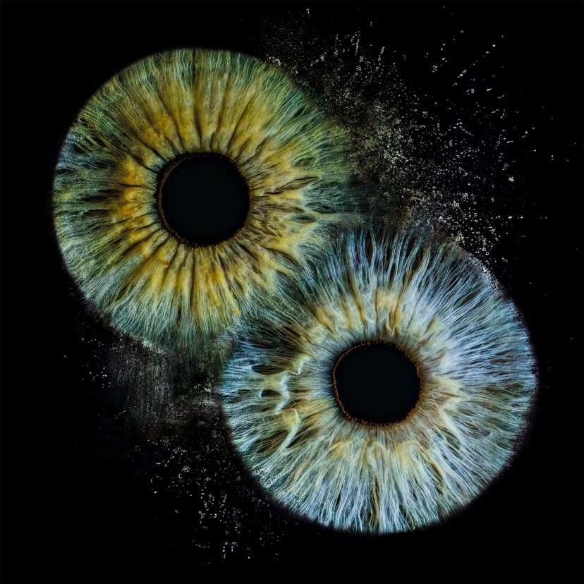 Artystyczne Zdjęcie Tęczówek Oczu dla Dwojga – Format A3 | Warszawa