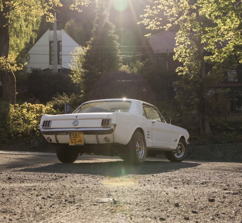 Co-Drive Mustangiem 1966 (15 minut) | Katowice