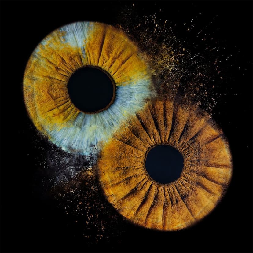 Artystyczne Zdjęcie Tęczówek Oczu dla Dwojga – Format A3 | Łódź