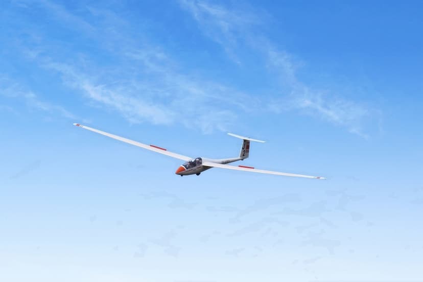 Lot Widokowy Szybowcem (20 minut) | Leszno