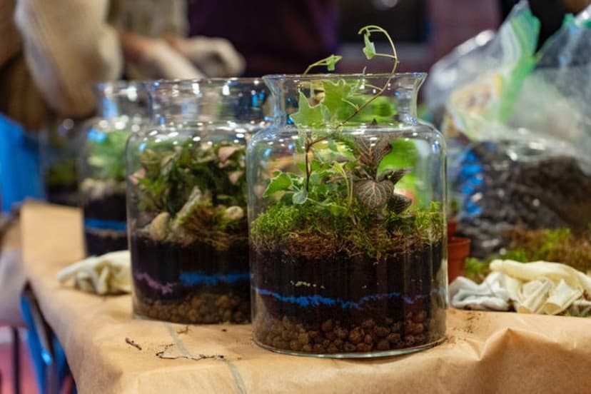 Stwórz Własny "Las w Słoiku" | Katowice