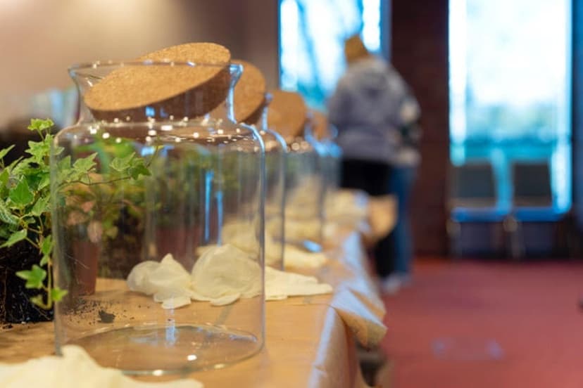 Stwórz Własny "Las w Słoiku" dla Dwojga | Katowice