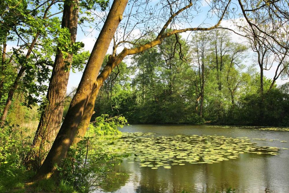 Park Czartoryskich w Puławach